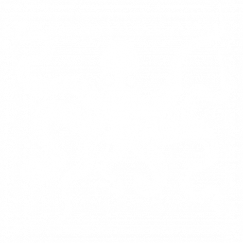 octopik web Référencement capbreton