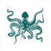 octopik.fr